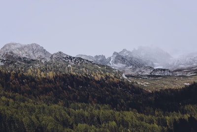 山上的草地